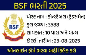 BSF ભરતી 2025